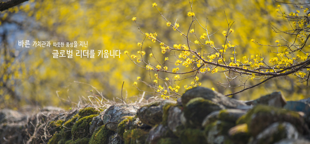 �۷ι� ����